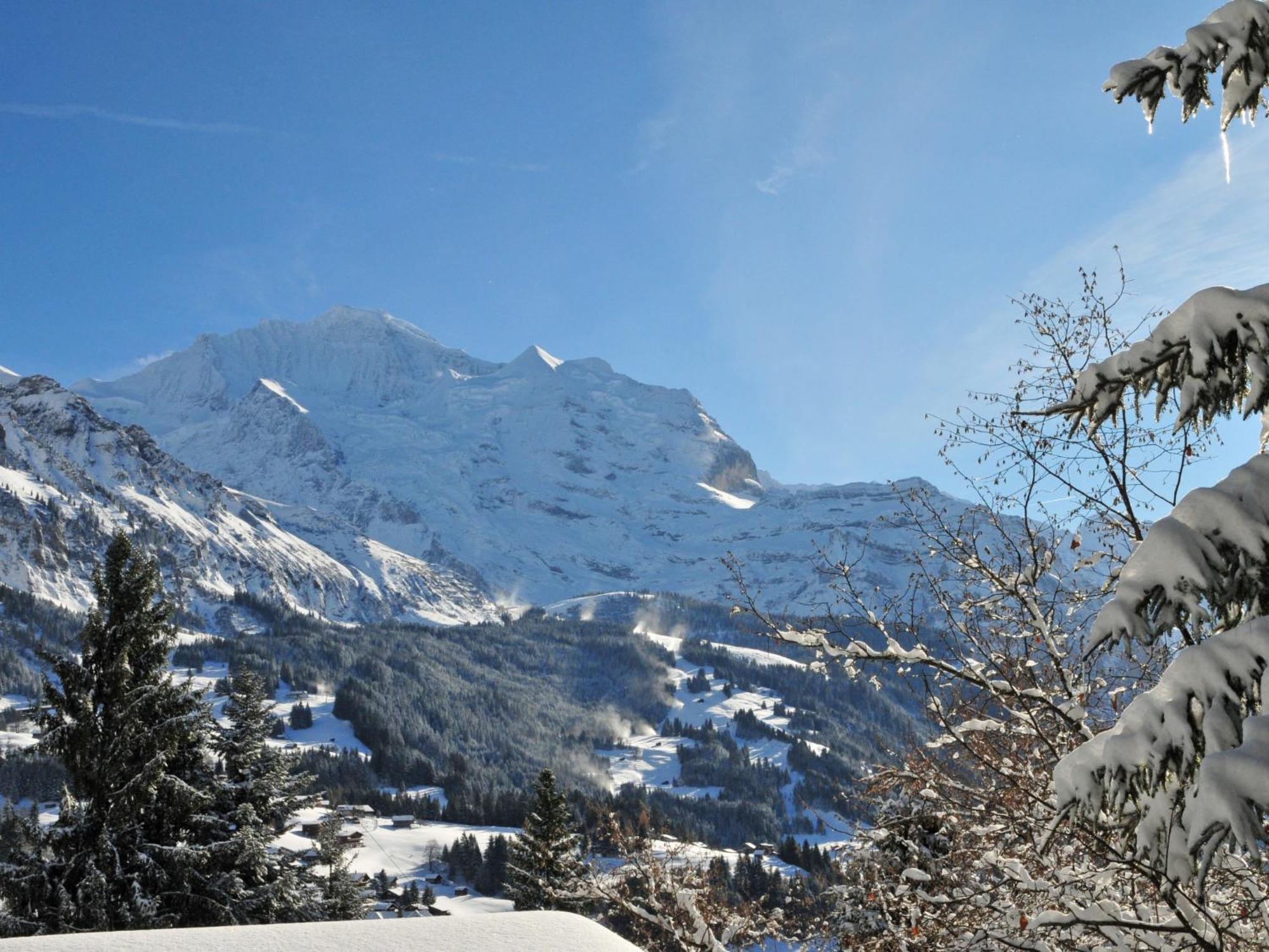 Apartment Chäs Gruebi Wengen